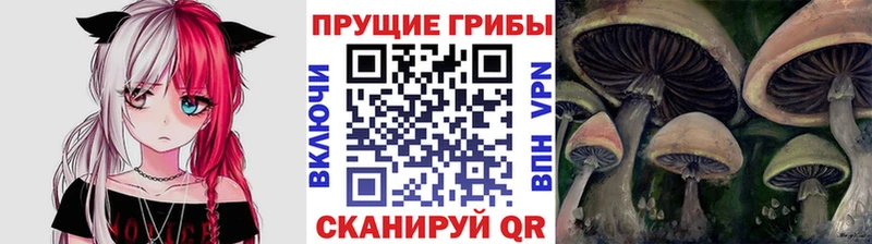 Галлюциногенные грибы MAGIC MUSHROOMS  Купить  Малгобек 